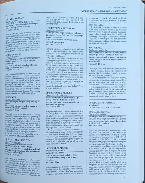 Christopher Perrins • Ilustrowana encyklopedia ptaków. Przewodnik po świecie ptaków - fragment