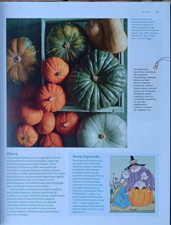 Wielka księga warzyw • Reader's Digest  - fragment