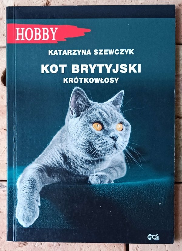 Katarzyna Szewczyk • Kot brytyjski krótkowłosy