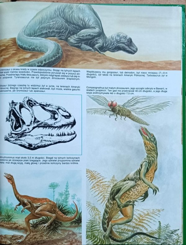 Michel Cuisin - Prehistoria | Tajemnice zwierząt - ilustracja