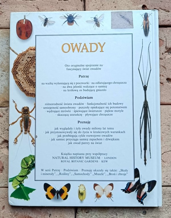 Laurence Mound -  Owady | Patrzę Podziwiam Poznaję