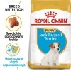 Royal Canin Jack Russell Terrier Puppy karma sucha dla szczeniąt do 10 miesiąca, rasy jack russell terrier 500g