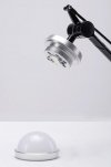 Kinkiet RAYON ARM WALL czarny - LED, klosz z akrylu