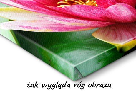 Fotoobraz 100x100 cm - zdjęcie na płótnie- darmowa dostawa
