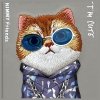 Nimmy etui iPhone 16 Pro Max 6.9        szary/gray Glasses Cool Cat