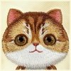 Nimmy etui iPhone 16 6.1 khaki Big Eyed Pet 2.0 Cat