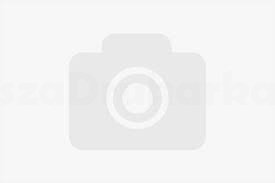 Tusz Epson T3361 33XL zamiennik foto czarny