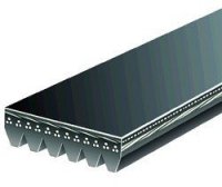 Pasek wielorowkowy 6PK2225 Savana 1500 1996-2013 4.3 L. 1996-2002 5.0 L. 5.7 L. 