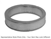 Filtr powietrza Ford Econoline / F-250 / F-350 CA7096 