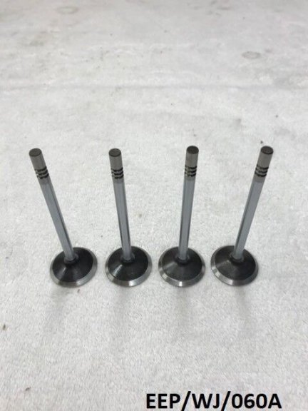 4 x Exhaust Valve for Jeep Grand Cherokee WJ 4.7L 1999-2004  EEP/WJ/060A