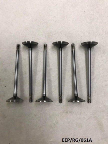6 x Intake Valve for Chrysler Grand Voyager 3.3L & 3.8L 2001-2010 EEP/RG/061A