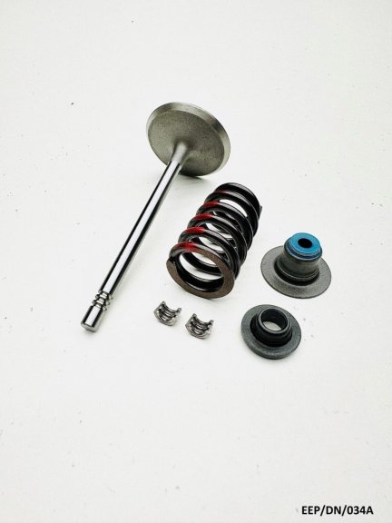 Intake Valve Kit for Dodge Durango Dakota HB DN 4.7 2000-2007 EEP/DN/034A