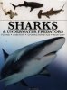 Sharks & Underwater Predators [mini edition]