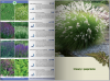 Katalog roślin 2016. Drzewa, krzewy, byliny