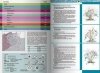 Katalog róż 