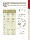 Odkrywamy język polski. Gramatyka dla uczących (się) języka polskiego jako obcego - przykładowa strona