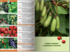 Katalog roślin 2016. Drzewa, krzewy, byliny