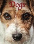 Dogs