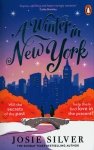 A Winter in New York