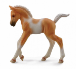 Źrebię idące Pinto Palomino