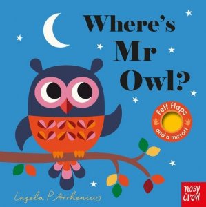 Where’s Mr Owl?