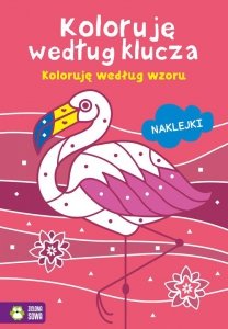 Koloruję według klucza Koloruję według wzoru