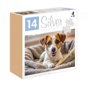 PUZZLE 12 EL. SILVER PIEs