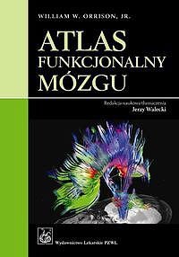 Atlas funkcjonalny mózgu