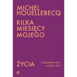 Kilka miesięcy mojego życia