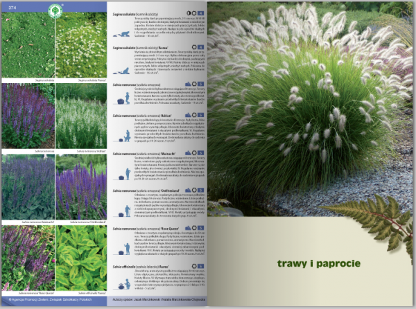 Katalog roślin 2016. Drzewa, krzewy, byliny