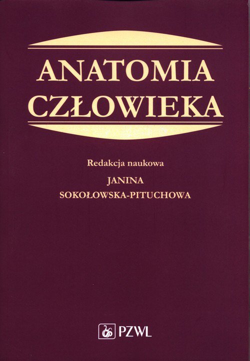 Anatomia człowieka Podręcznik dla studentów medycyny