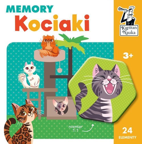 Kociaki. Memory. Kapitan Nauka