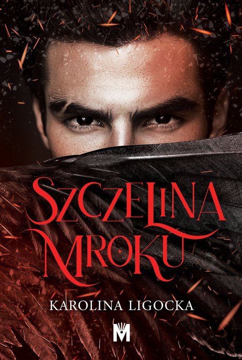 Szczelina mroku