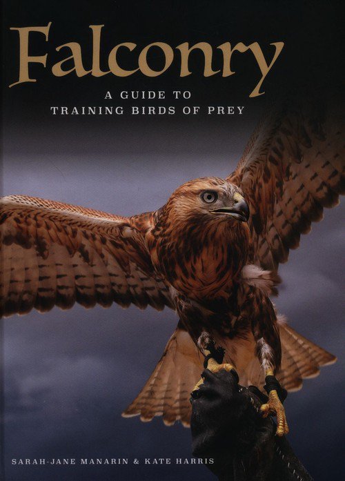 Falconry
