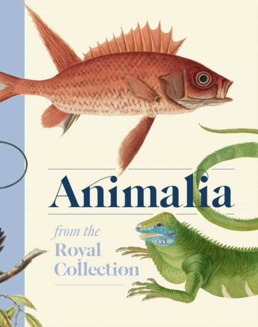 Animalia wer. angielska