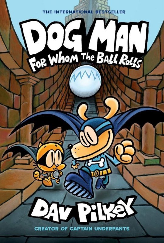 For whom the ball. Dog man
