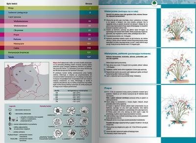 Katalog róż 