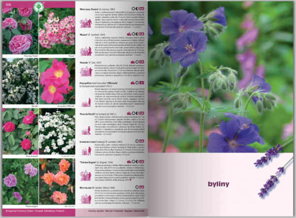 Katalog roślin 2016. Drzewa, krzewy, byliny