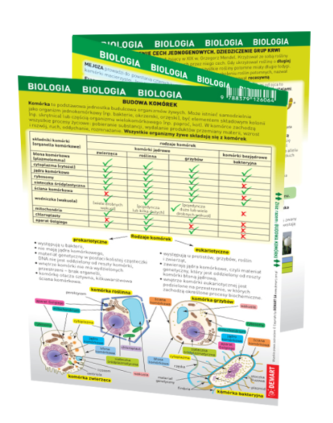 Biologia. Maxi ściąga