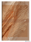 Kalendarz Oxford Nature 15x21 2025 Mix 400189671 dzienny