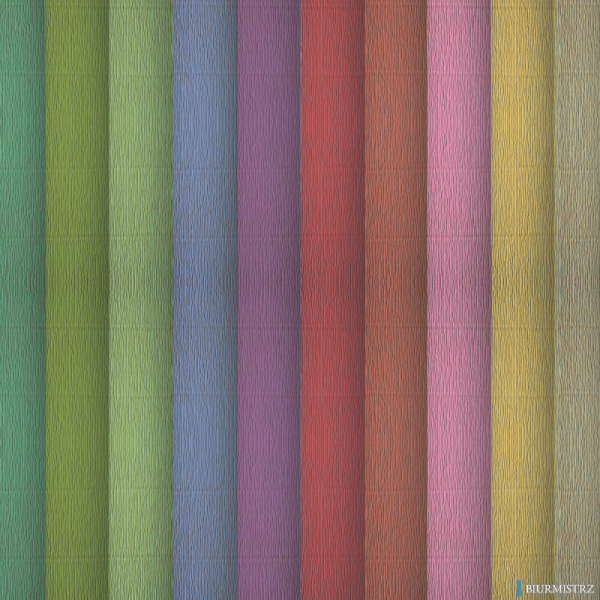 Bibuła marszczona Creatinio 50x200 mix pastelowy komplet 10 sztuk 400153932 TOP-2000