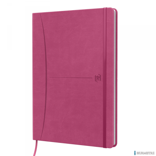 Notatnik OXFORD SIGNATURE B5 80kartek kratka mix 400154949