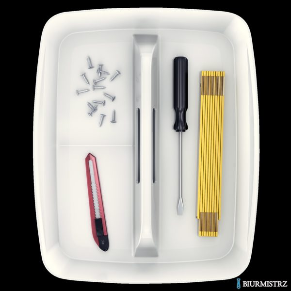 Organizer MyBOX duży z uchwytem biały LEITZ 53220001