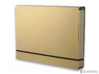 Teczka-BOX A4 Lux na gumkę 4.5cm złota TT6759 (X)