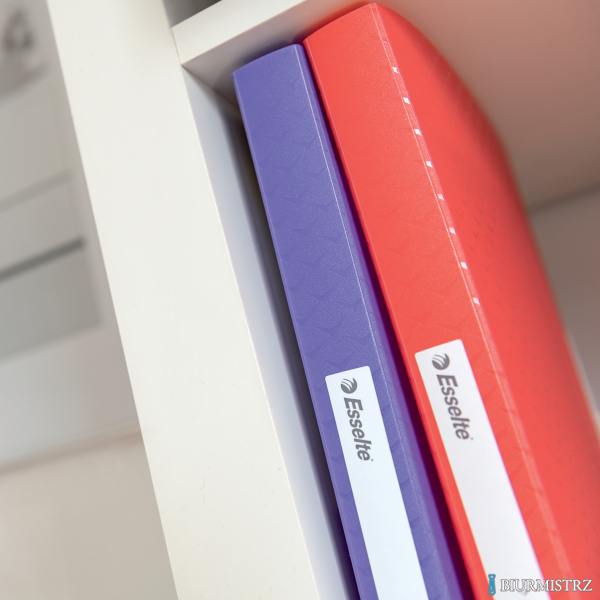 Album ofertowy Esselte ColourBreeze, z 80 koszulkami, lawendowy 628446 Esselte