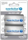 Akumulatorki D / R20 Ni-MH everActive 5500mAh Silver Line (box 2 szt.)