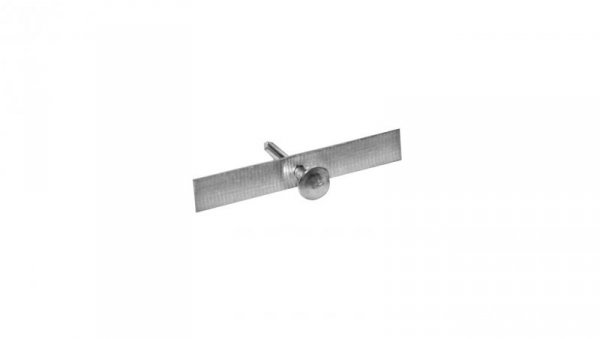 Taśma aluminiowa cięta 60 mm z gwoździem 3x30 mm /1kg/ TA-Cg-60/1 /271szt./