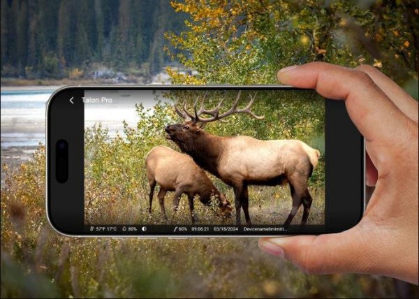 Fotopułapka Reolink Camovue 8MP LTE Talon Series T130