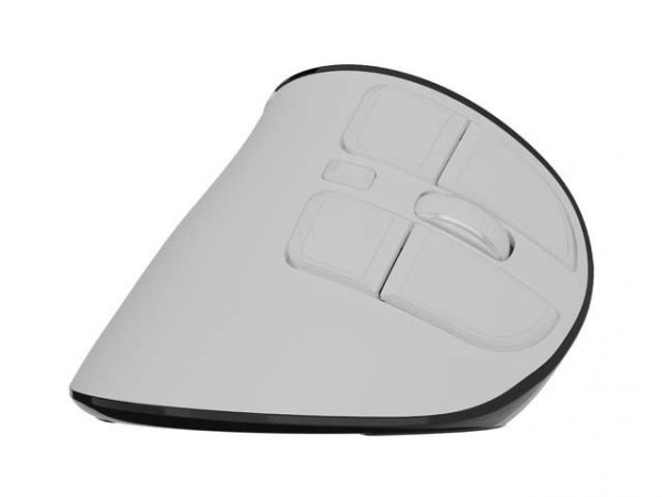 Natec Mysz wertykalna EUPHONIE PRO 2400DPI BT 5.0 bezprzewodowa biała