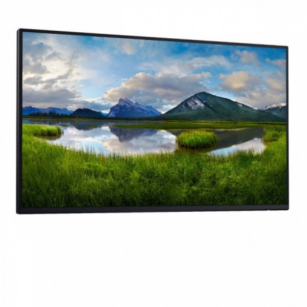 Dell Monitor 24 cale P2425HE LED IPS 1920x1080/16:9/USBC/RJ45/HDMI/DP/USB/3Y